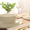 image:imageGibson Elite AvantGarde 12 Piece Stoneware Dinnerware Set for 4 Chateau Grey Plates and Bowls Set with Reactive Glaze Includes Dinner Plates Salad Plates and BowlsLinen White AvantGarde