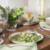image:imageGibson Elite Island Bay 12Piece New Bone China Dinnerware Set Service for 4 Reactive Glaze Plates and Bowls Dishwasher and Microwave Safe Black and CreamCream  Green Island Bay