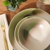 image:imageGibson Elite Soleil 12 Piece Echo Blue Stoneware Dinnerware Set for 4 Plates and Bowls Set with Dinner Plates Salad Plates and BowlsGreen Crescenton