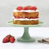 image:imageMartha Stewart Watercrest Glass Cake Stand 102 Inch Footed Pedestal Cake Plate with Scalloped Ruffled Edge Clear Handmade Glassware for Weddings Parties and Dessert DisplayGreen 10
