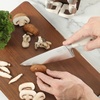 image:imageSur La Table Kitchen Essentials Tasting Kitchen HighCarbon German Steel 7 Piece Full Tang Forged Cutlery Knife Block Set  Eggshell White WAshwood BlockEggshell White w Ashwood Block