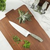 image:imageSur La Table Kitchen Essentials Tasting Kitchen HighCarbon German Steel 7 Piece Full Tang Forged Cutlery Knife Block Set  Eggshell White WAshwood BlockJuniper Green w Ashwood Block