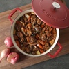image:imageBabish 6Quart Round Enameled Cast Iron Dutch Oven with Lid  Red HeavyDuty Dutch Oven for Slow Cooking Braising amp BakingRed