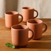 image:imageBloomhouse  Two Time Oprahs Favorite Things Winner  Corsica Clay 12 Piece Stoneware Rustic Reactive Glaze Dinnerware Set  Stackable Plates and Bowls Set Service for 4  Matte Sea Salt WhiteBurnt Apricot Terracotta
