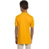 imageJerzees Boys SpotShield Short Sleeve Uniform Polo 2PackGold