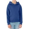imageJerzees Boys Youth Pullover HoodHoodie  Heather Blue