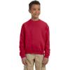 imageJerzees boys Fleece Sweatshirts Hoodies ampamp Sweatpants Shirt Sweatshirt  True Red XLarge US