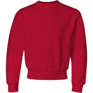 imageJerzees boys Fleece Sweatshirts Hoodies ampamp Sweatpants Shirt Sweatshirt  True Red XLarge US