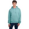 Hoodie -Sage
