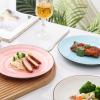 imageSelamica Ceramic 8 inch Dinner Plates Small Dessert Salad Plates Porcelain Serving Plate for Appetizer Pancakes Steak Set of 6 Gradient ColorGradient Color