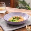 imageSelamica Porcelain 26 Ounce Salad Pasta Bowls 8 inch Wide and Shallow Serving bowls Microwave ampamp Dishwasher Safe Sturdy ampamp Stackable Set of 6 Gradient ColorGradient Blue
