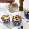 imageSelamica Ceramic 6 Oz Ramekins Oven Safe Creme Brulee Ramekins Souffle Dishes Custard Cups for Baking Mini Bowls for Pudding Dip Ice Cream Set of 6 Vintage BlueVintage Blue