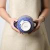 imageSelamica Ceramic Soup Bowls with Handles French Onion Soup Crocks 20 OZ Oven Safe Soup Bowls for French Onion Chili Beef Stew Cereal Pot Pies Set of 4 Vintage Blue