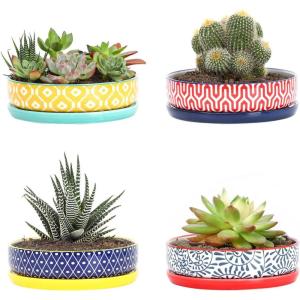 imageSelamica Ceramic Succulent Pots 6 Inch Shallow Succulent Planters with Drainage Hole ampamp Saucer Indoor Plant Pots for Cactus Herb Home Decor Set of 4 Vintage BlueAssorted Colors