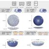 imageSelamica 30Pieces Ceramic Dinnerware Sets for 6 Scratch Resistant Plates and Bowls Sets Microwave and Dishwasher Safe Vintage Blue AVintage Blue