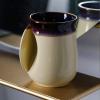 imageSelamica Ceramic 18oz Novelty Righthanded Handwarmer Mug Coffee Mug for family friends and couple  Ceylon GreenOchre