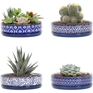 image:imageSelamica Ceramic Succulent Pots Shallow Succulent Planters with Drainage Hole amp Saucer Indoor Plant Pots for Cactus Home DecorAssorted Colors6 inchSet of 4Vintage Blue