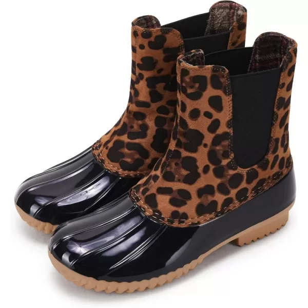 Leopard