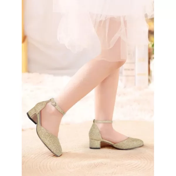 Girls Dress Shoes Flower Girl Mary Jane Low Chunky Heels Ankle Strap Buckle School Wedding Party Pumps Little Big Kid