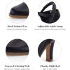 imageCoutgo Womens Chunky High Heels Closed Pointed Toe Ankle Strap Pumps Vintage DOrsay Dress Party ShoesBlack