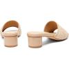 imageCoutgo Womens Slide Sandals Mesh Chunky Heels Mules Square Open Toe Slip On Summer Dress ShoesRaffia Apricot