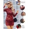 image:imageAvidlove Womens Sheer Lace Dress Sexy Long Sleeve Dress See Through Lingerie Short Mini Dresses for Party No LinlingWine Red