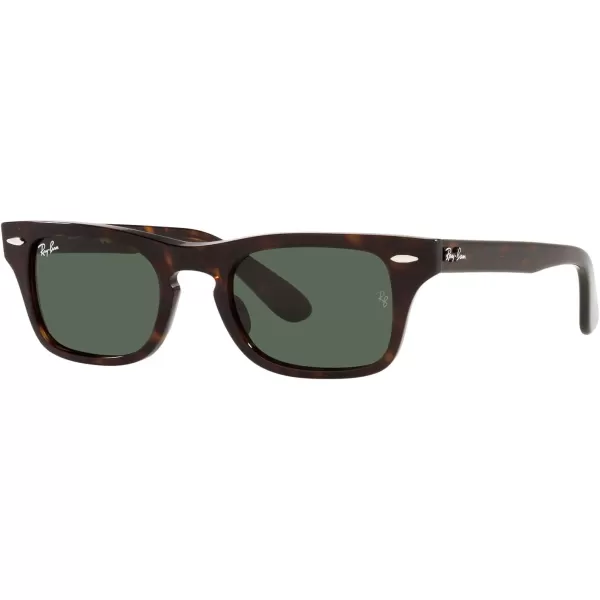 RayBan Child Sunglasses Black Frame Dark Green Lenses 45MMHavanaDark Green