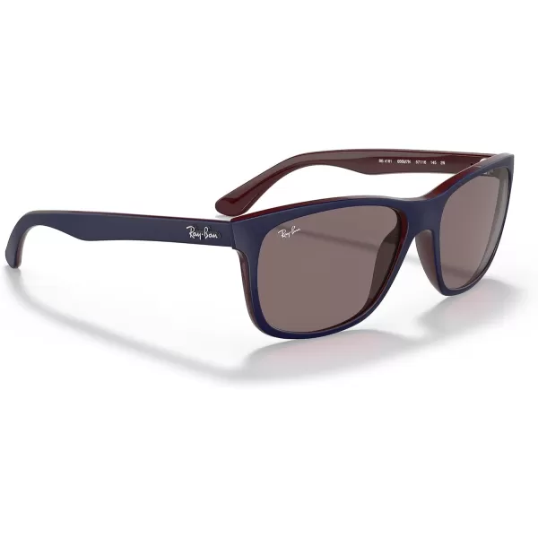 RayBan Mens RB4181 Square SunglassesMatte Blue on BrownViolet