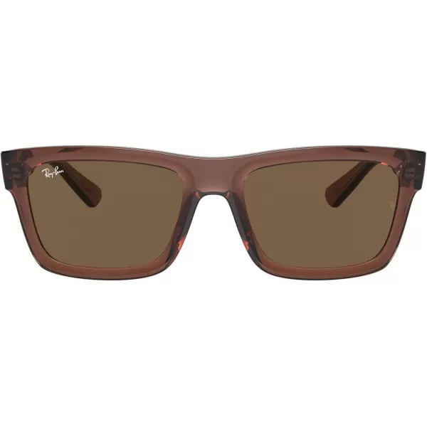 RayBan Mens Rb4396 Warren Rectangular SunglassesTransparent BrownDark Brown