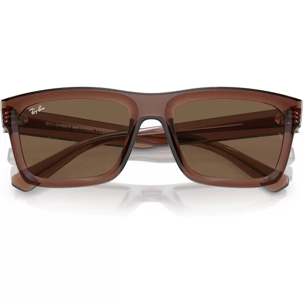 RayBan Mens Rb4396 Warren Rectangular SunglassesTransparent BrownDark Brown