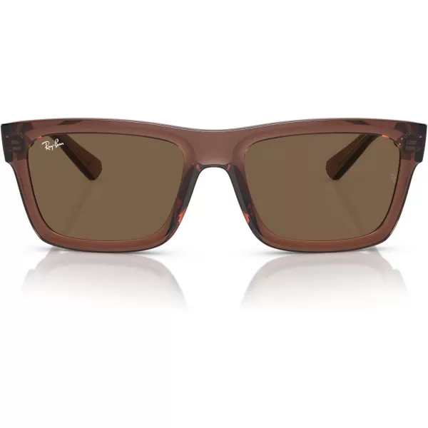 RayBan Mens Rb4396 Warren Rectangular SunglassesTransparent BrownDark Brown