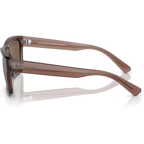 RayBan Mens Rb4396f Warren Low Bridge Fit Rectangular SunglassesTransparent BrownDark Brown