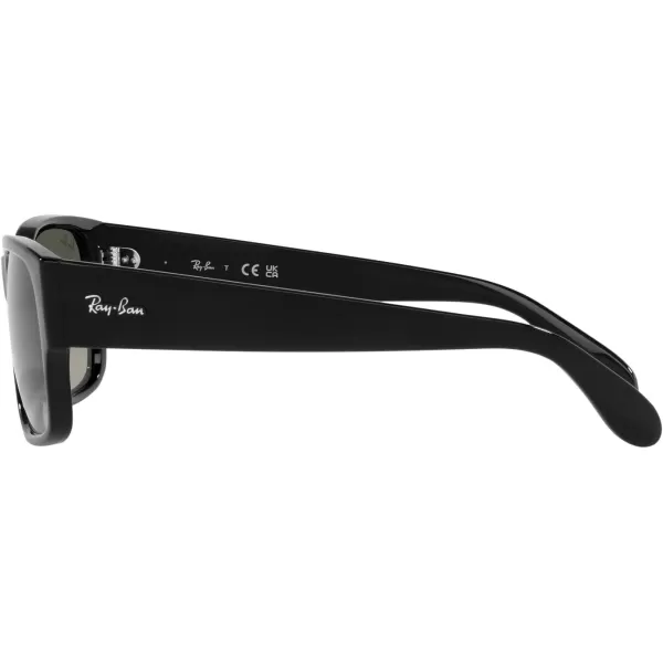 RayBan RB4388 Square SunglassesBlackGrey Gradient