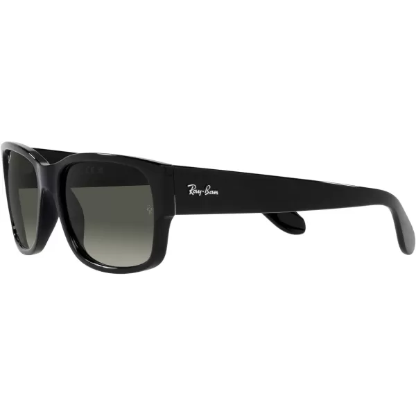 RayBan RB4388 Square SunglassesBlackGrey Gradient