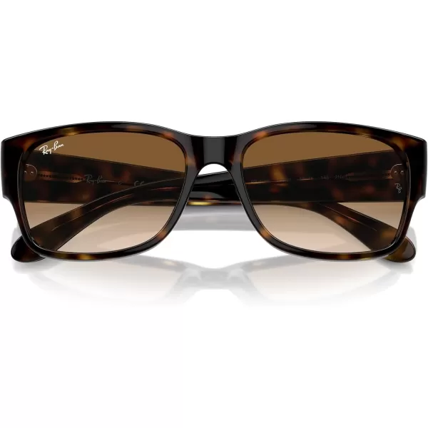 RayBan RB4388 Square SunglassesHavanaClear Gradient Brown