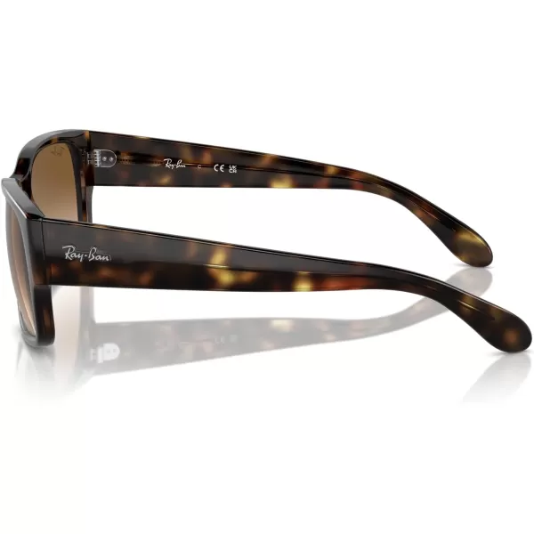 RayBan RB4388 Square SunglassesHavanaClear Gradient Brown