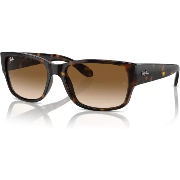 RayBan RB4388 Square SunglassesHavanaClear Gradient Brown