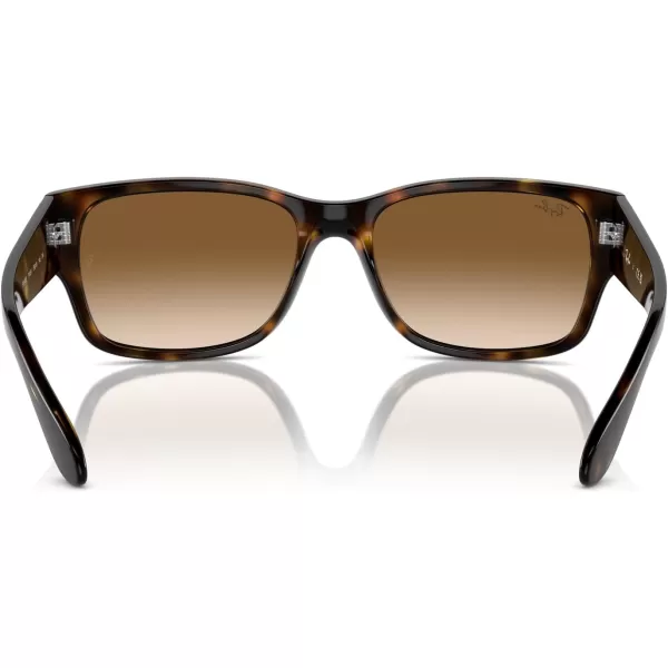 RayBan RB4388 Square SunglassesHavanaClear Gradient Brown