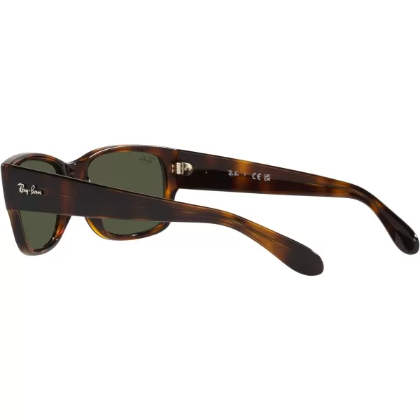 RayBan RB4388 Square SunglassesHavanaGreen