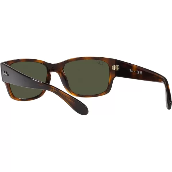 RayBan RB4388 Square SunglassesHavanaGreen