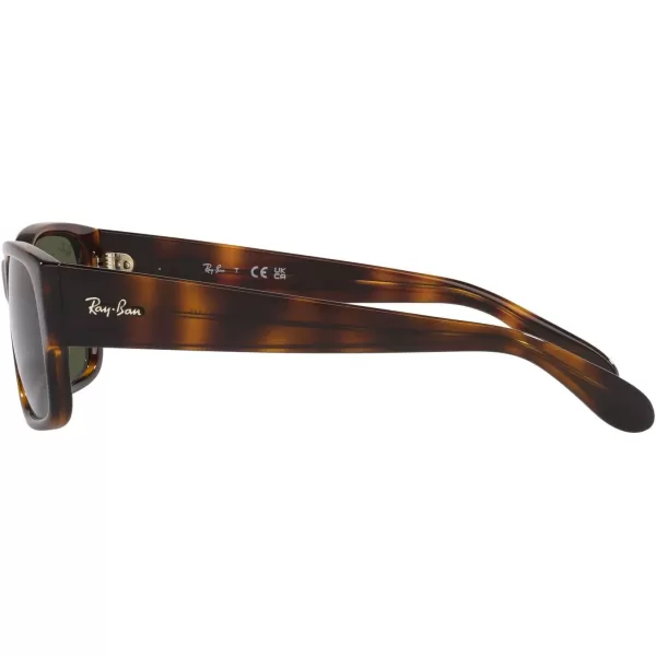 RayBan RB4388 Square SunglassesHavanaGreen