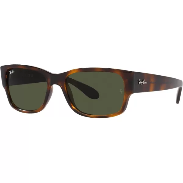 RayBan RB4388 Square SunglassesHavanaGreen