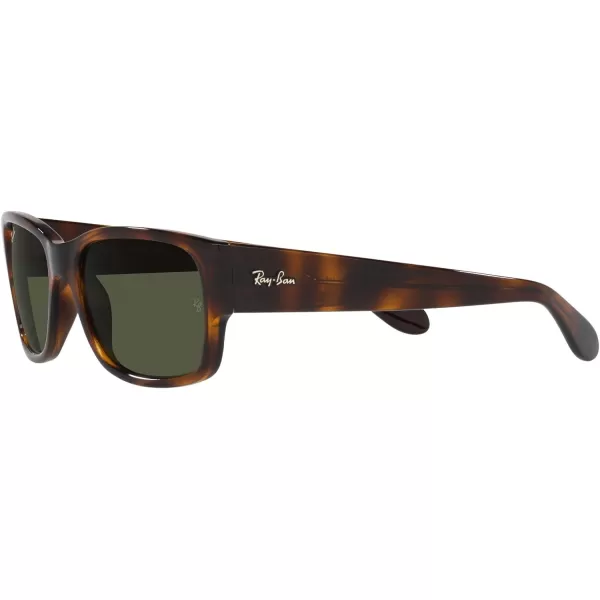 RayBan RB4388 Square SunglassesHavanaGreen