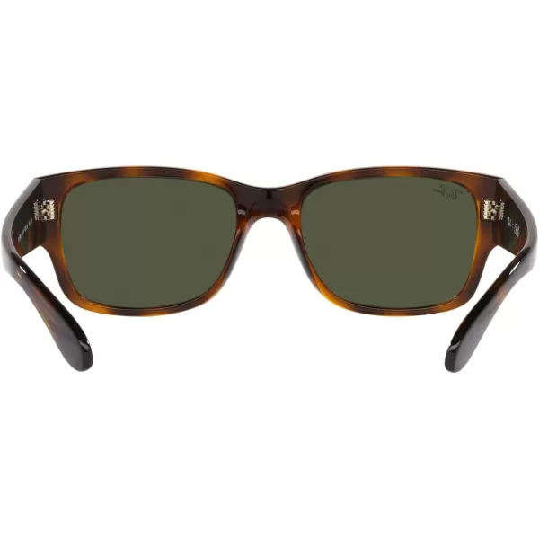 RayBan RB4388 Square SunglassesHavanaGreen