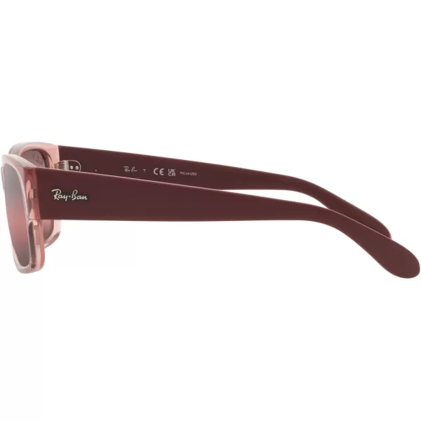 RayBan RB4388 Square SunglassesTransparent PinkWine Polarized