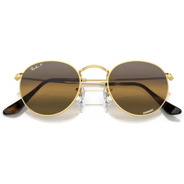 RayBan Rb3447 Round Metal SunglassesGoldClear Gradient Dark Brown Polarized