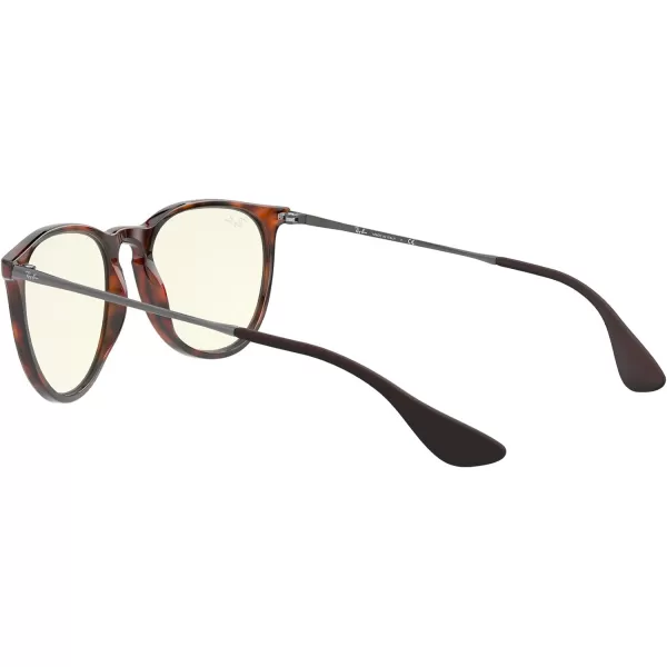 RayBan Rb4171f Erika Low Bridge Fit Round SunglassesRubber HavanaClear