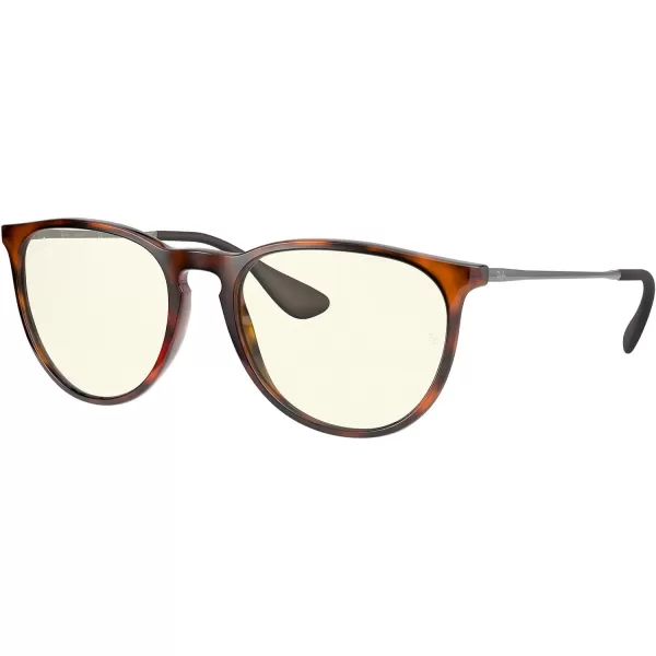 RayBan Rb4171f Erika Low Bridge Fit Round SunglassesRubber HavanaClear