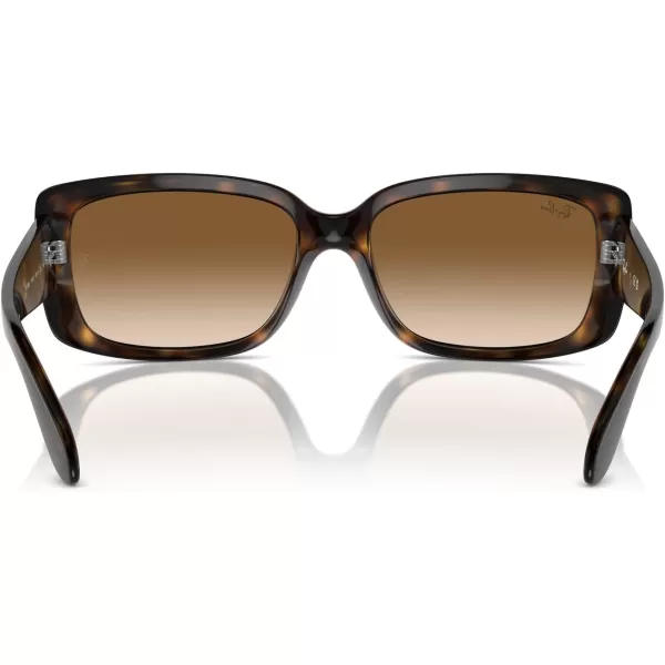 RayBan Womens RB4389 Square SunglassesHavanaClear Gradient Brown