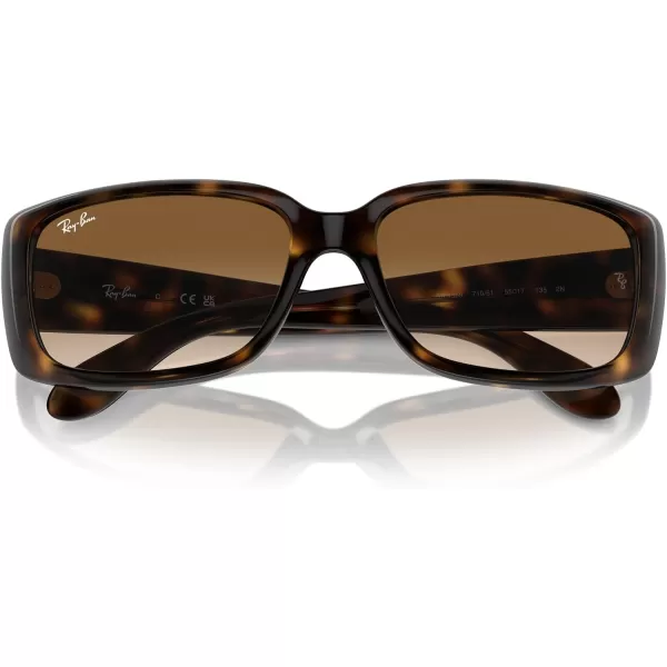 RayBan Womens RB4389 Square SunglassesHavanaClear Gradient Brown